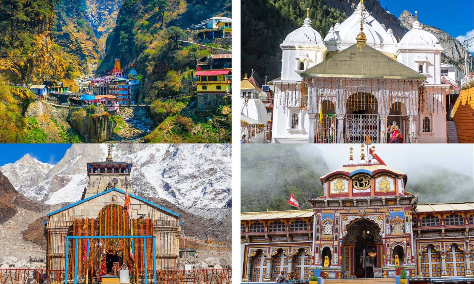 Char Dham Yatra Specialist